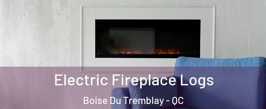  Electric Fireplace Logs Boise Du Tremblay - QC