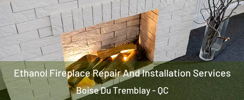 Ethanol Fireplace Repair And Installation Services Boise Du Tremblay - QC