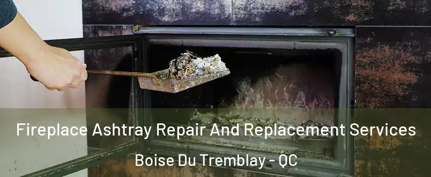  Fireplace Ashtray Repair And Replacement Services Boise Du Tremblay - QC