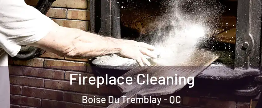  Fireplace Cleaning Boise Du Tremblay - QC