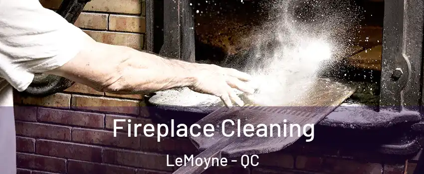  Fireplace Cleaning LeMoyne - QC