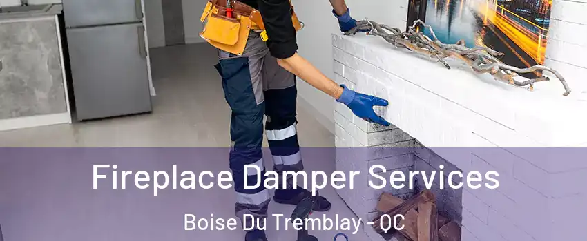 Fireplace Damper Services Boise Du Tremblay - QC