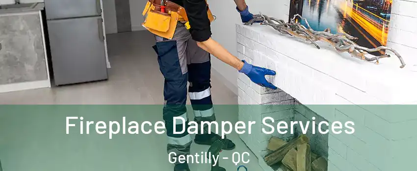  Fireplace Damper Services Gentilly - QC