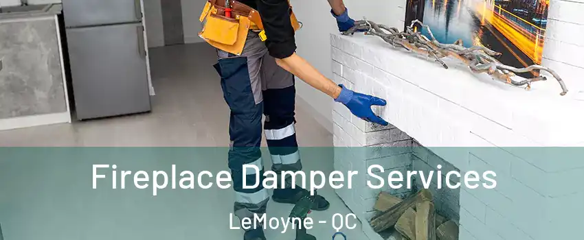  Fireplace Damper Services LeMoyne - QC