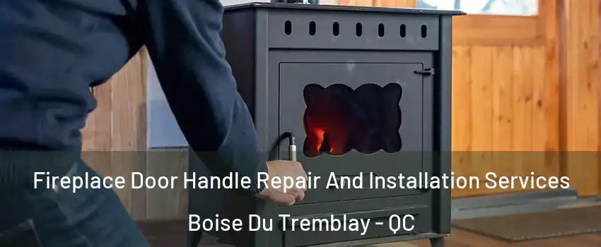 Fireplace Door Handle Repair And Installation Services Boise Du Tremblay - QC