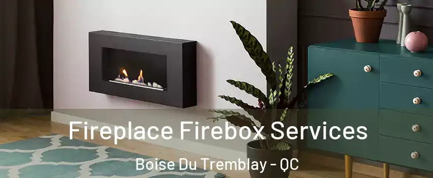  Fireplace Firebox Services Boise Du Tremblay - QC