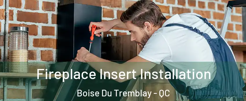  Fireplace Insert Installation Boise Du Tremblay - QC