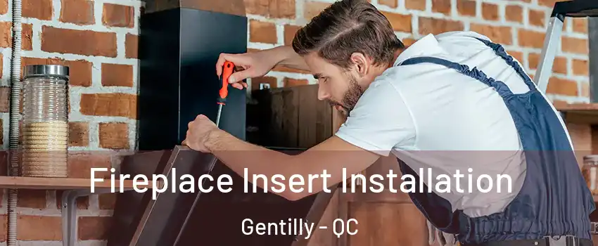  Fireplace Insert Installation Gentilly - QC