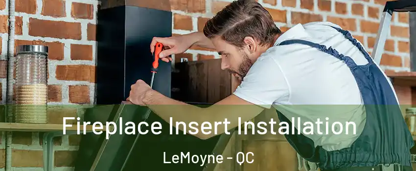  Fireplace Insert Installation LeMoyne - QC