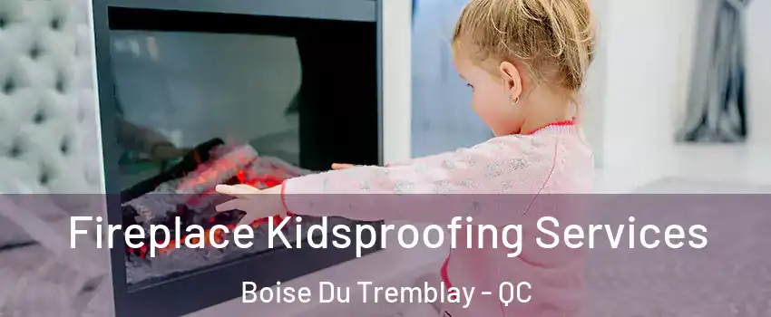  Fireplace Kidsproofing Services Boise Du Tremblay - QC