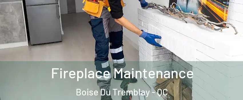  Fireplace Maintenance Boise Du Tremblay - QC