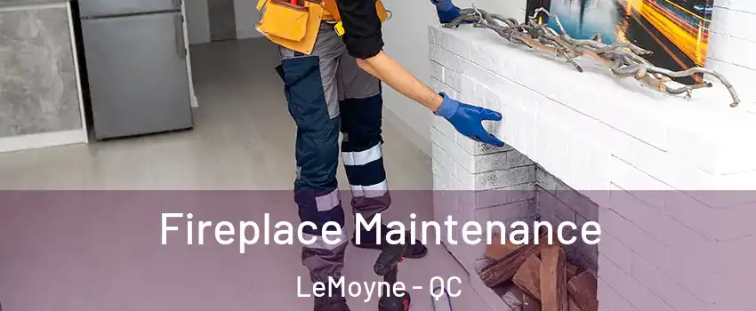  Fireplace Maintenance LeMoyne - QC