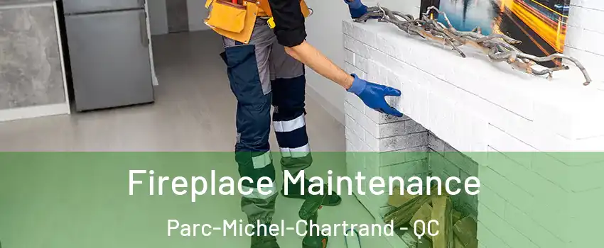  Fireplace Maintenance Parc-Michel-Chartrand - QC