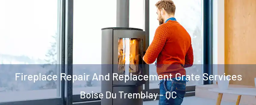  Fireplace Repair And Replacement Grate Services Boise Du Tremblay - QC
