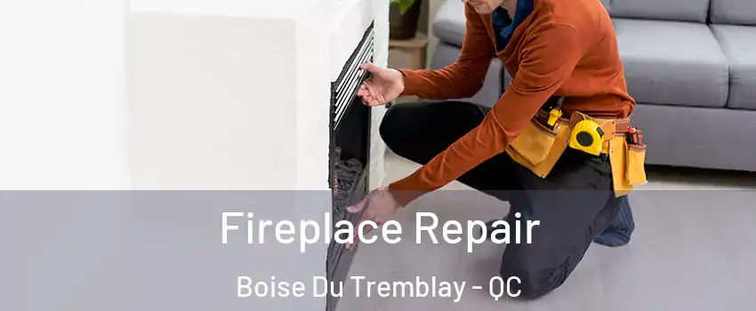  Fireplace Repair Boise Du Tremblay - QC
