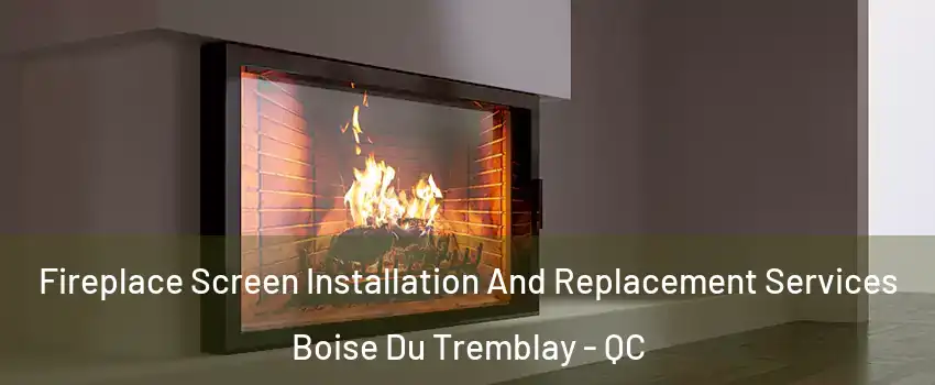 Fireplace Screen Installation And Replacement Services Boise Du Tremblay - QC