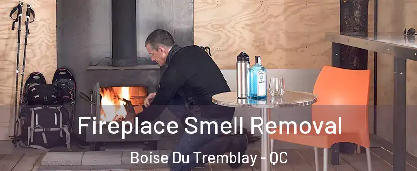  Fireplace Smell Removal Boise Du Tremblay - QC