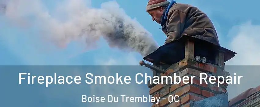  Fireplace Smoke Chamber Repair Boise Du Tremblay - QC