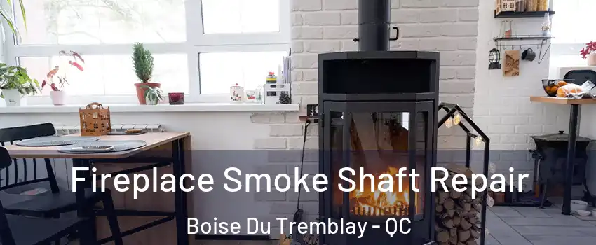  Fireplace Smoke Shaft Repair Boise Du Tremblay - QC