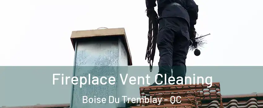  Fireplace Vent Cleaning Boise Du Tremblay - QC