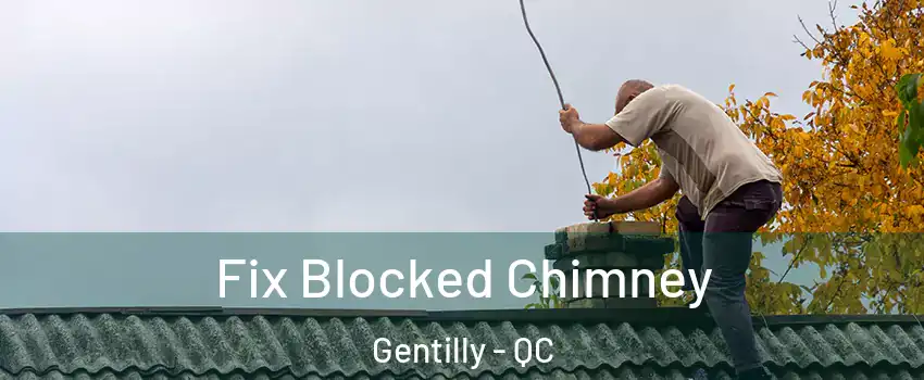  Fix Blocked Chimney Gentilly - QC