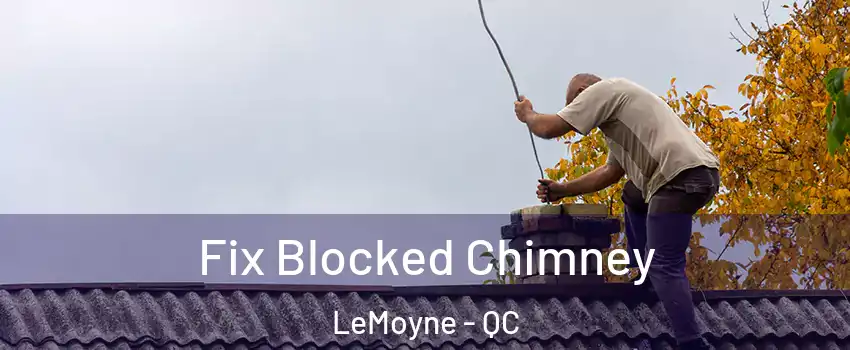  Fix Blocked Chimney LeMoyne - QC