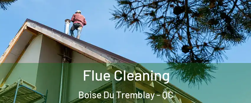  Flue Cleaning Boise Du Tremblay - QC