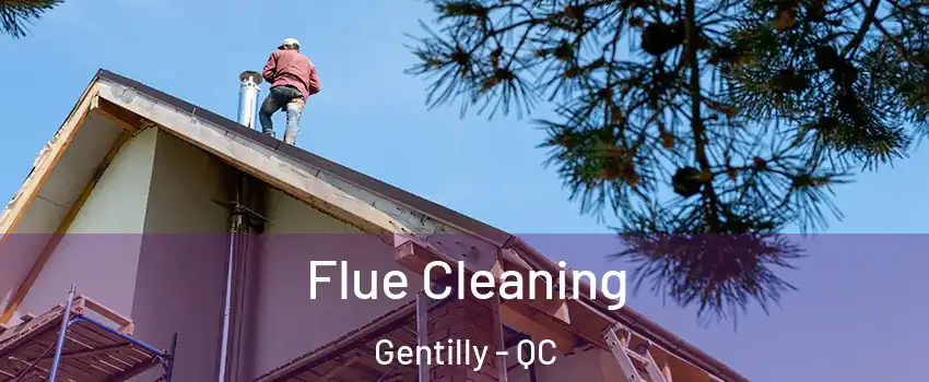  Flue Cleaning Gentilly - QC