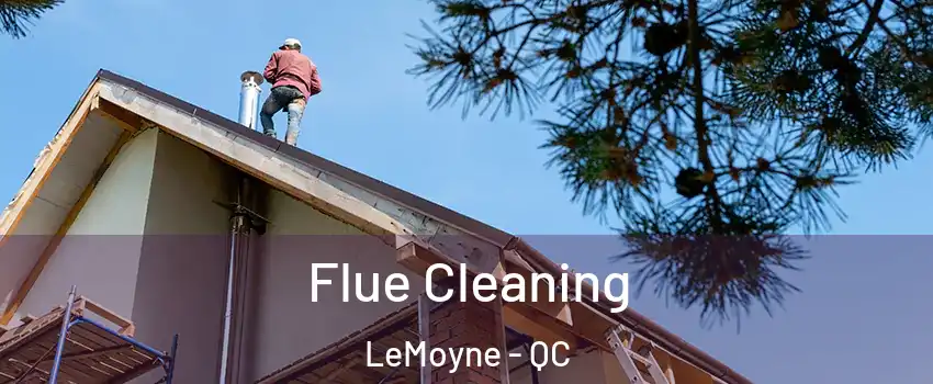  Flue Cleaning LeMoyne - QC