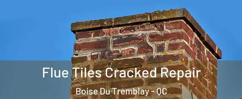  Flue Tiles Cracked Repair Boise Du Tremblay - QC