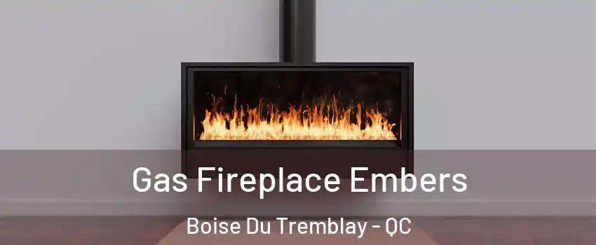  Gas Fireplace Embers Boise Du Tremblay - QC