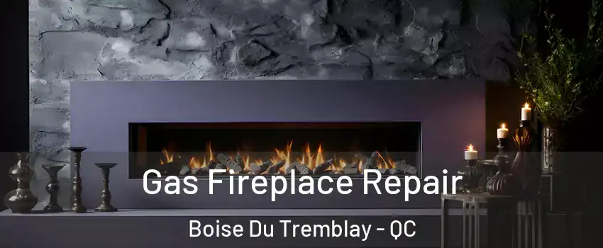  Gas Fireplace Repair Boise Du Tremblay - QC