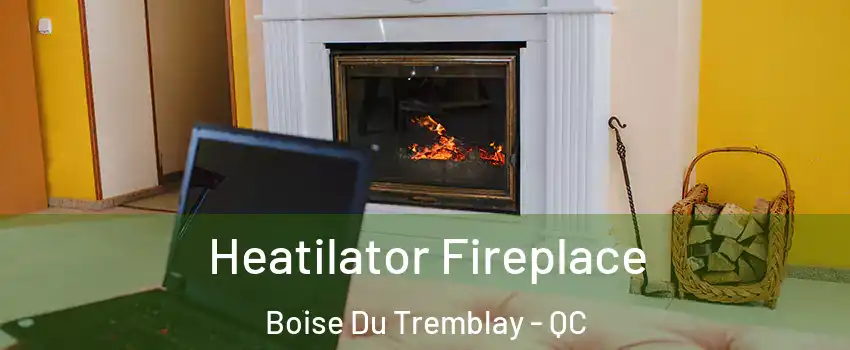  Heatilator Fireplace Boise Du Tremblay - QC