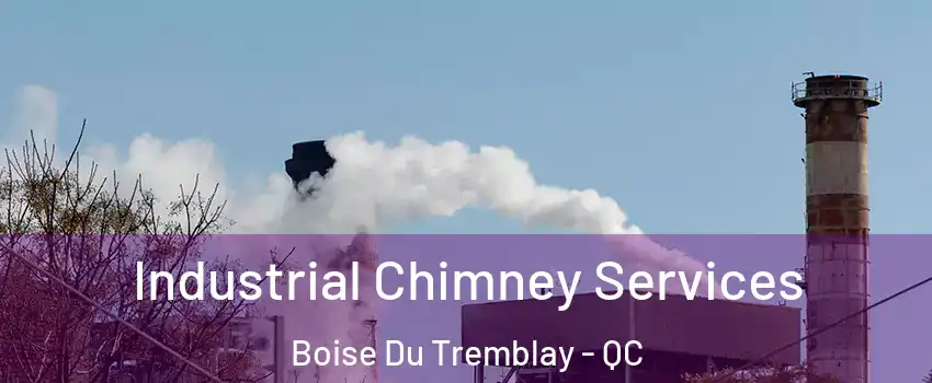  Industrial Chimney Services Boise Du Tremblay - QC
