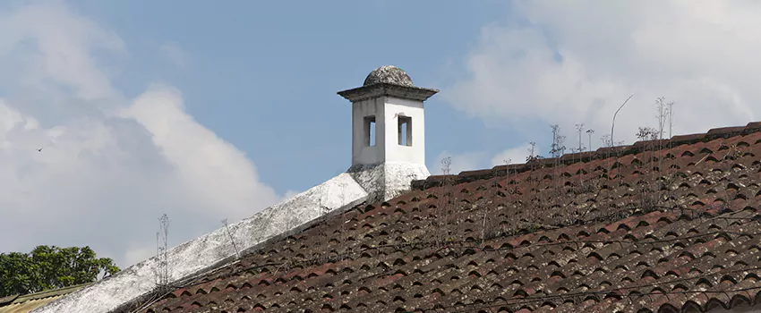 Wind-Resistant Chimney Caps Installation and Repair Services in Longueuil, Quebec