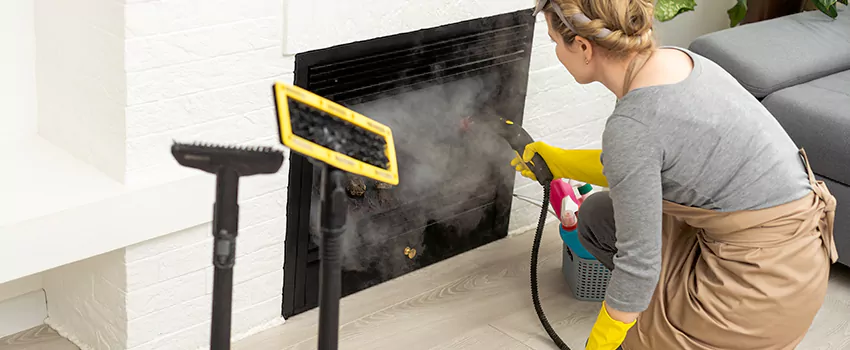 Fireplace Doors Cleaning in Longueuil, Quebec