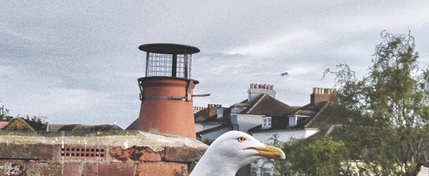 Chimney Cap Bird Guard Repair in Longueuil, Quebec