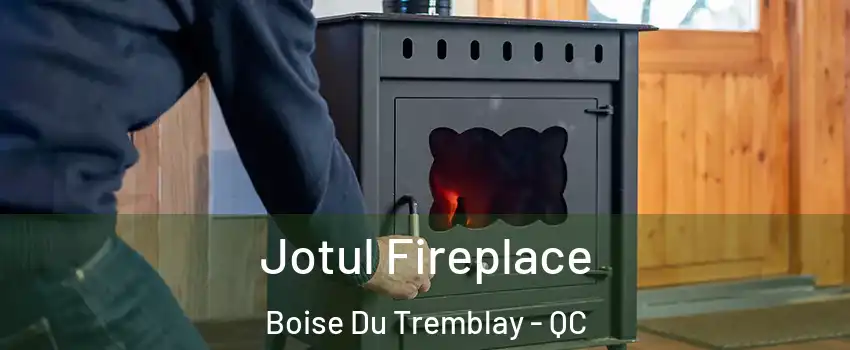  Jotul Fireplace Boise Du Tremblay - QC
