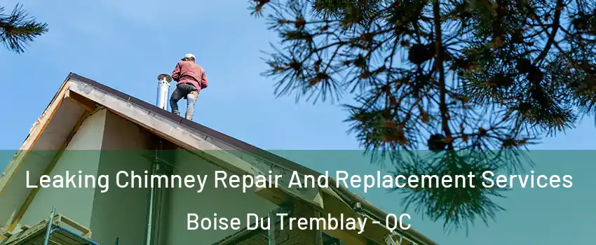  Leaking Chimney Repair And Replacement Services Boise Du Tremblay - QC
