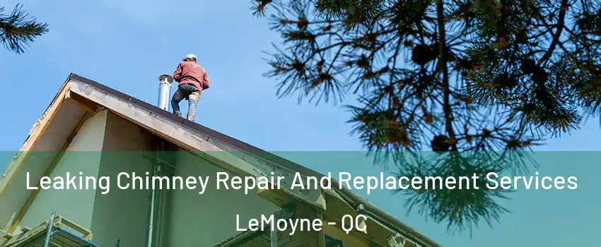  Leaking Chimney Repair And Replacement Services LeMoyne - QC