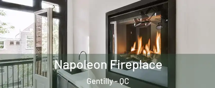  Napoleon Fireplace Gentilly - QC