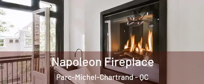  Napoleon Fireplace Parc-Michel-Chartrand - QC