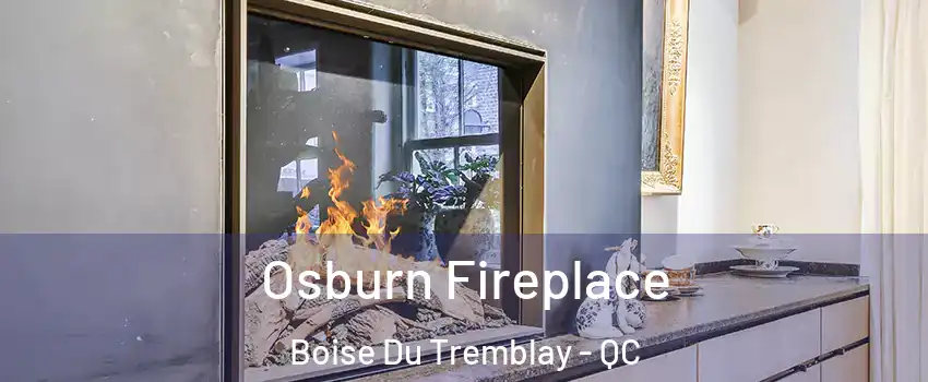 Osburn Fireplace Boise Du Tremblay - QC