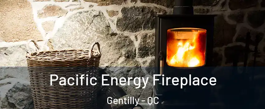  Pacific Energy Fireplace Gentilly - QC