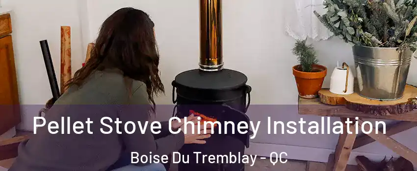  Pellet Stove Chimney Installation Boise Du Tremblay - QC