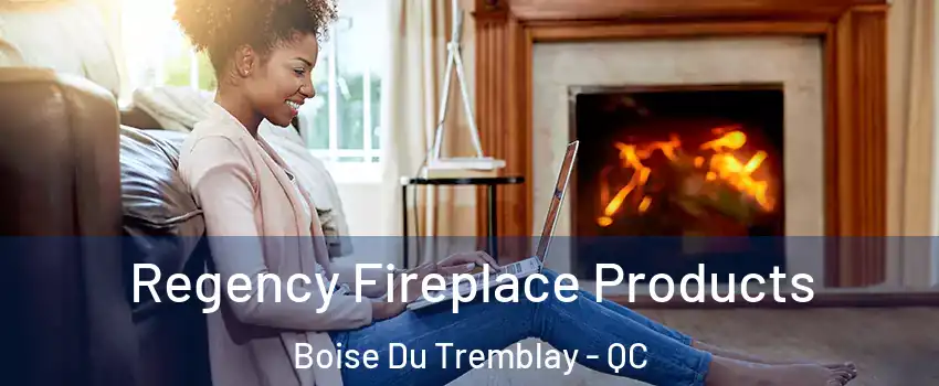  Regency Fireplace Products Boise Du Tremblay - QC