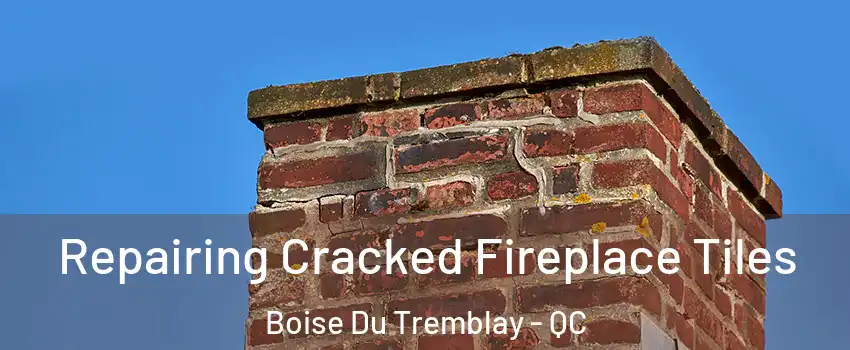  Repairing Cracked Fireplace Tiles Boise Du Tremblay - QC