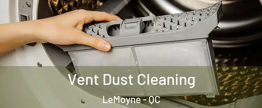  Vent Dust Cleaning LeMoyne - QC