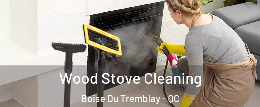  Wood Stove Cleaning Boise Du Tremblay - QC