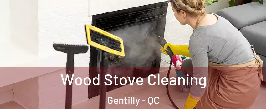  Wood Stove Cleaning Gentilly - QC